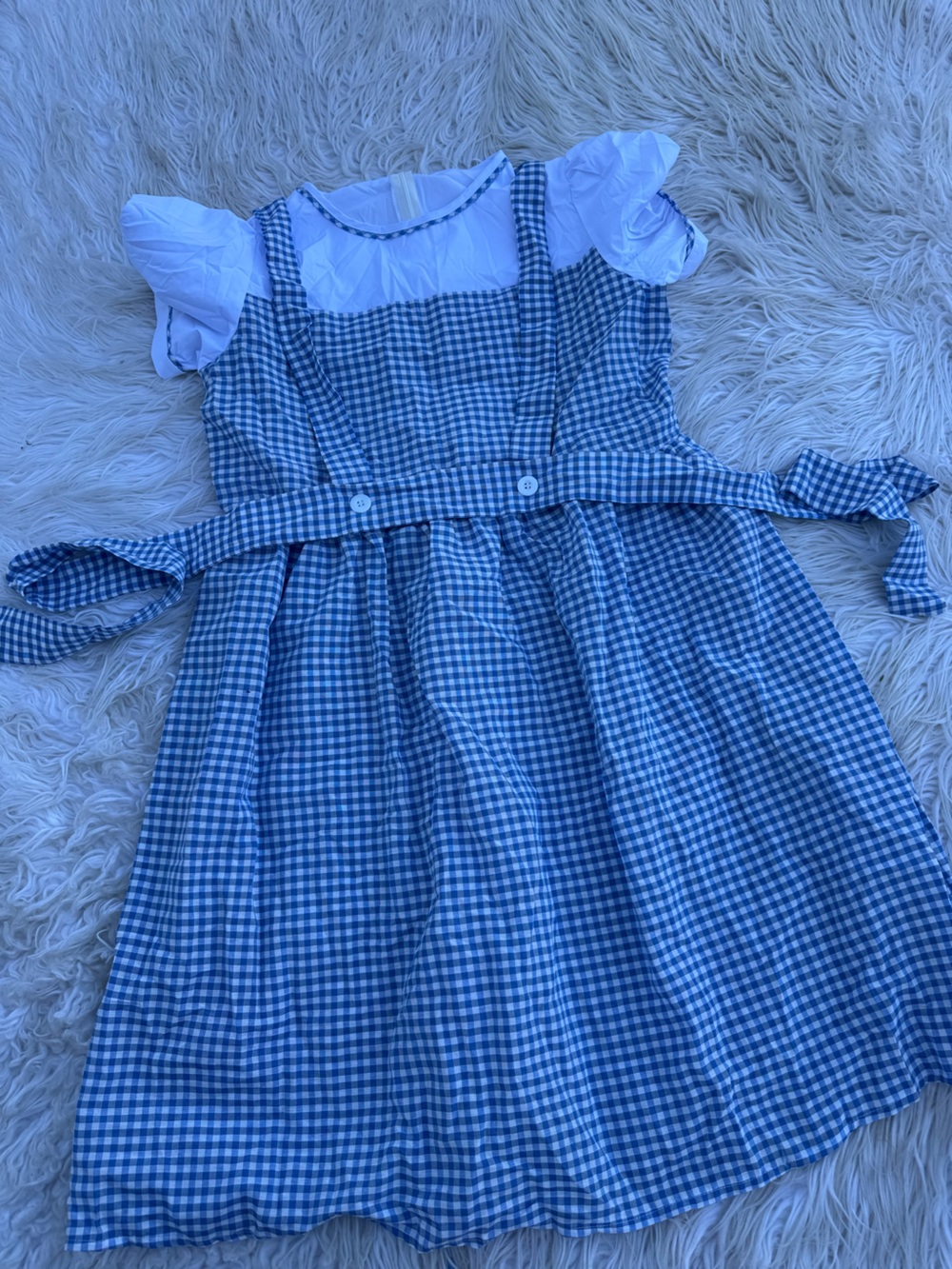 Women’s Dorothy costume (D8)